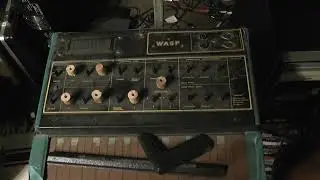 Introducing an EDP Wasp