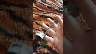 контейнер из крышек