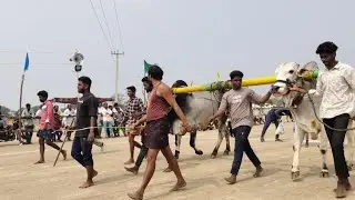 వాయిలల గ్రామం నాలుగు పళ్ళ విభాగం 3 వ జత M వీరేష్ రైచూరు jill💥💥🐂💥💥live suresh golden ongole Bull