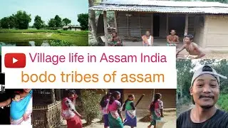 RURAL LIFE OF BODO COMMUNITY IN ASSAM, INDIA, #rurallife #villagelife #ruralvlogs #villagevlog #bodo