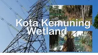 Kota Kemuning Wetland