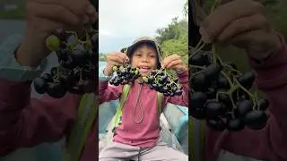 Mengexplore buah-buahan hutan Kalimantan #explore #survival #ngebolang #shorts