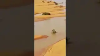 Sahara Desert Faces Unprecedented Flooding After Half a Century #new #global #africa #africandesert
