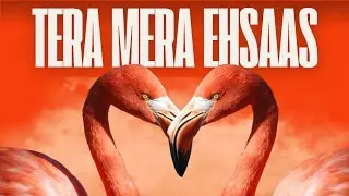Tera Mera Ehsaas | Made with SunoSynth Ai App