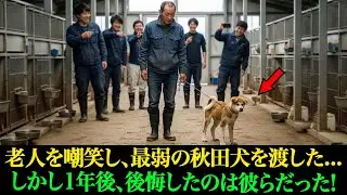 彼らは、老人を嘲笑するために、牧場で一番弱い秋田犬を渡しました...しかし、1年後、後悔するのは彼ら自身だったのです。