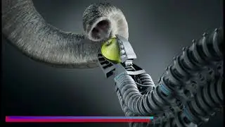 Technologies inspired by nature.Part 1.#nature #technology