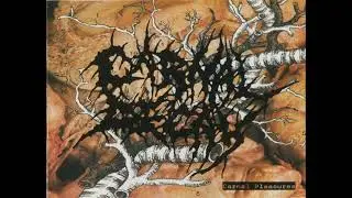 Carnal Decay - Molesting The Dead (instrumental), 2006