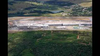 BH Airport&rsquo;s wild neighbors