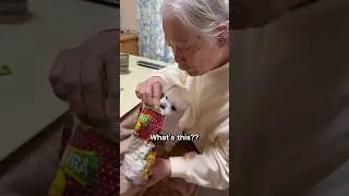 Japanese grandparents try Indian snacks for the first time 🤯🇯🇵🇮🇳 #japanese #shorts #indianfood