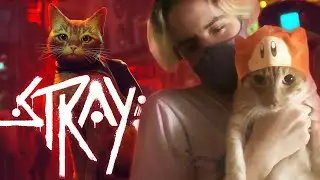 Stray - Part 2 | Computer Time With Miles