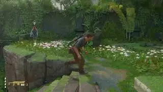 Water Features Encounter | Uncharted 4 A Thief's End