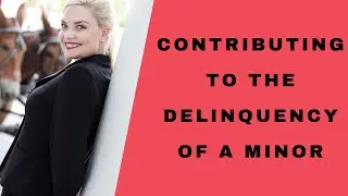 SC: Contributing to the delinquency of a minor / Carolina Lady Lawyer