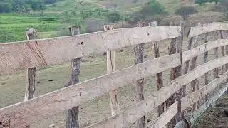 Uma trade Linda 