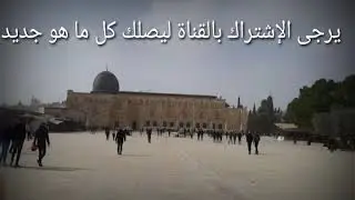 نشيد || ناشدتها يا غربتي