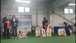 17.01.2026, СПб. Клуб 