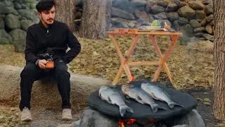 Outdoor cooking, Fresh Fish on Flat Stone | The new way of cooking fish on flat stone | Natural Life
