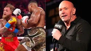 Dana White Calls Jake Paul vs Anthony Joshua &ldquo;Embarrassing&rdquo; After Brutal Knockout