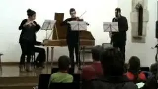 Telemann Trio Sonata (Flute, Viola and Basso Continuo)