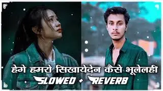 हेगे हमरो सिखाएदेन कैसे भूलेलही ( #Slowed + Reverb ) Maithali Sad #Lofi Song | Pagla Binu Pagli | 