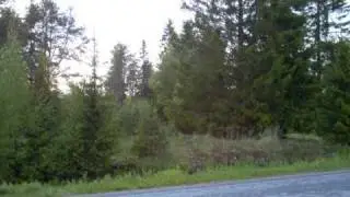 Finnish Summer nights