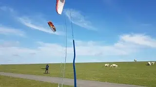 Landboarding mit zwei Nachwuchskitern :-) | #014