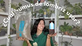 &iquest;Cu&aacute;l humus de lombriz usar? Explicaci&oacute;n f&aacute;cil para tus plantas 🌱