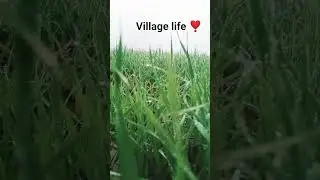 #Farming is not a job it's sukoon #very cool weather in morning #viral#shots#