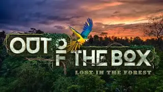 OUT OF THE BOX FESTIVAL 2019 - Aftermovie