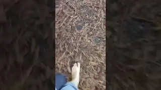 #Barefoot #Nature #Shorts