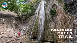 Nojoqui Falls Trail - A Local Secret Near Solvang, CA