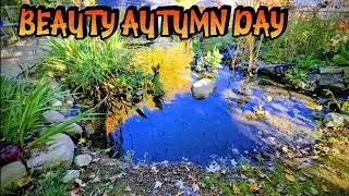 AUTUMN BEAUTY IN FULL COLOR 🍂🎨#AutumnColors #FallBeauty #ColorfulSeason #GoldenLeaves #PondLife