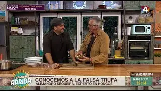 Vamo Arriba - Todo sobre el mundo de los hongos con Alejandro Sequeira