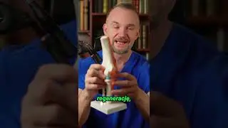 Osocze bogatopłytkowe na kolano &ndash; czy warto? 🤔