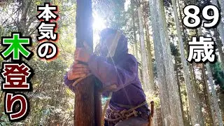 89歳が12年振りに木登りし、枝打ち… 【2024年1月14日 実施】