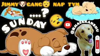 Jimmy 🐶 gang 😴 tym#sunday #funny #comedy #ytshorts #minivlog #shortvideo #viralvideo #dog #streetdog