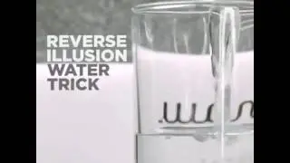 Why you should love Physics ?