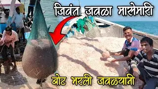 जवळा मासेमारीच्या पहिल्याच दिवशी बोट आली जवळ्याने भरून 😍🦐#fishing #javla #prawns #fish #bankot