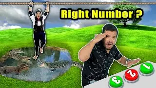 Choose The Right Number Challenge | Hungry Birds