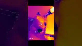 Unboxing a Thermal Camera! FLIR One Edge Pro