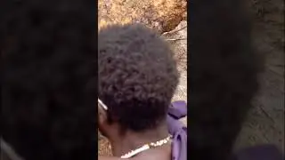 They looked for honey for breakfast in the morning primitive tribe#Africa #animals #ytshorts