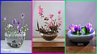 Mesmerizing Mini Flower Bowls: Nature&rsquo;s Art in Every Drop