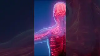 Уникальная группа крови! В мире есть только один человек с Gwada Negative