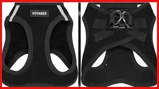 Quality product -  Voyager Step-in Air Dog Harness