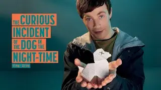 THE CURIOUS INCIDENT OF THE DOG IN THE NIGHT-TIME | Interview with Director Hannah Goodwin