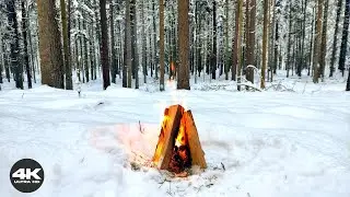 ❄️ 4K Lithuanian Snow Forest Campfire | 3 Hours Real Fire Sounds for Sleep & Focus (No AI)