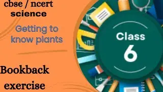 Bookback exercise