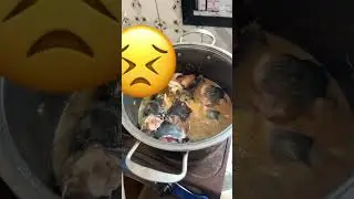 Consommons local : 2500f et 3000f le kilo de silures 