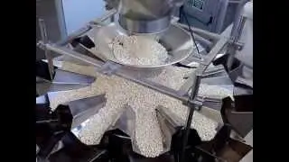 Bilancia multitesta a 10 teste per pesatura e confezionamento di cereali