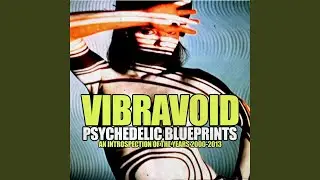 Void Vibration