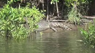 Coral Princess Cruise  Voyage 3rd September 2022 10 Day Cruise  Queensland
